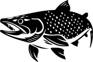 Northern Pike Head