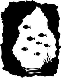 Ocean Floor Cave Fish