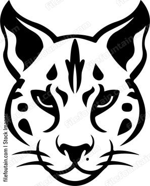 Ocelot