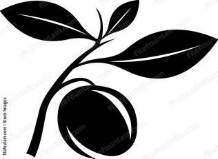 Olives With Leaves