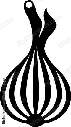 Onion