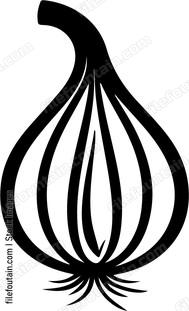 Onion