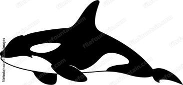 Orca