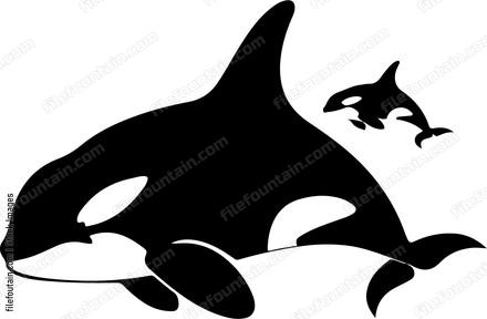 Orca Mother And Baby