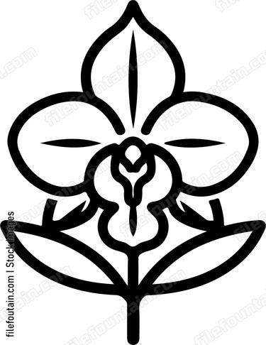 Orchid Flower