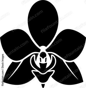 Orchid Flower