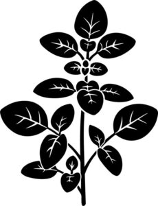 Oregano Leaf