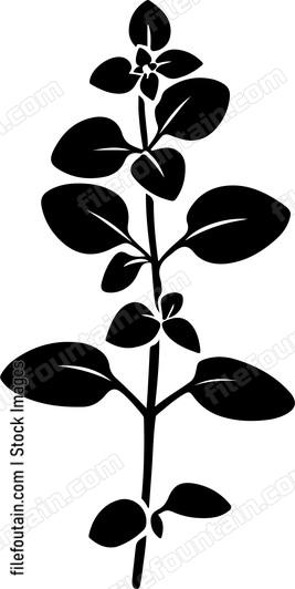 Oregano Leaf