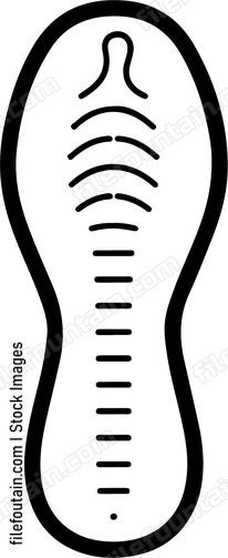 Orthopedic Insole