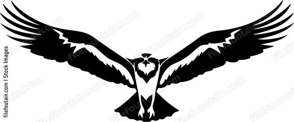 Osprey