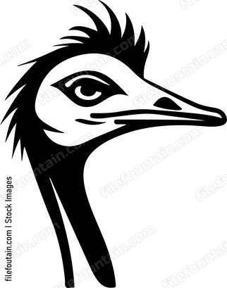 Ostrich Head