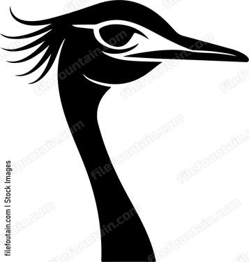 Ostrich Head