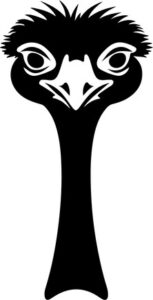 Ostrich Head