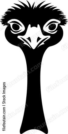 Ostrich Head