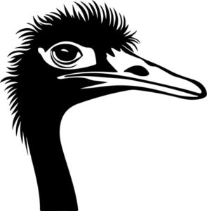 Ostrich Head