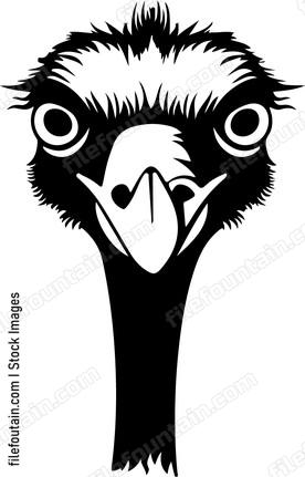 Ostrich Head