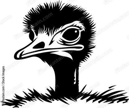 Ostrich looking sideways behind a hill