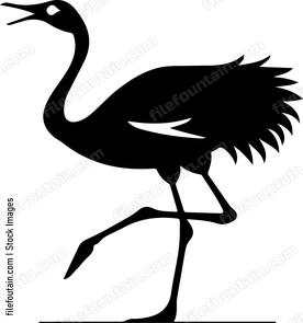 Ostrich Running