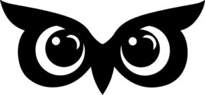 Owl Eyes