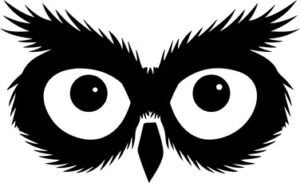 Owl Eyes