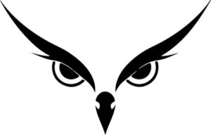 Owl Eyes