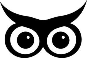 Owl Eyes