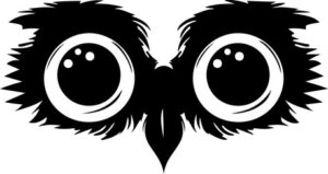 Owl Eyes