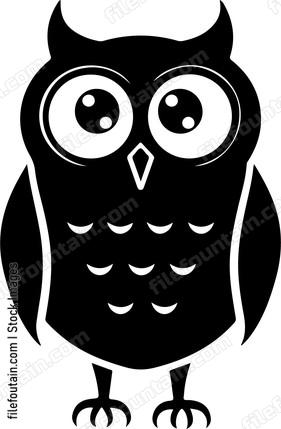 Owl Standing