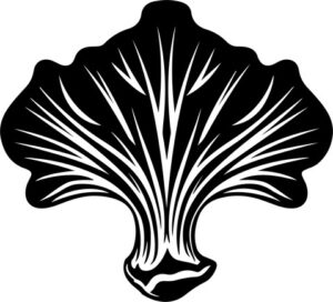 Oyster Mushroom