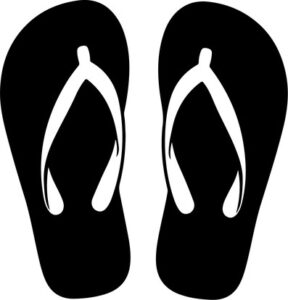 pair of flip flops