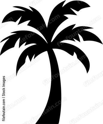 Palm