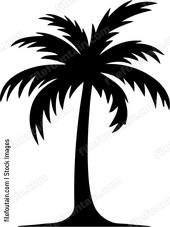Palm Tree