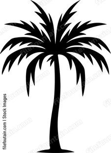 Palms