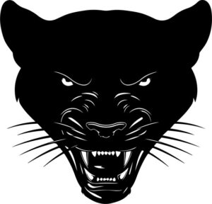 Panther Mascot Angry Head