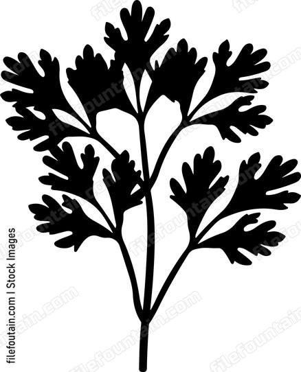 Parsley Bundle