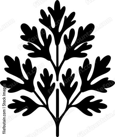 Parsley Bundle