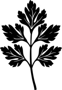 Parsley Leaf