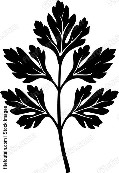 Parsley Leaf