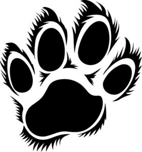 Paw print of big cat