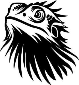 Peeking Bearded Dragon