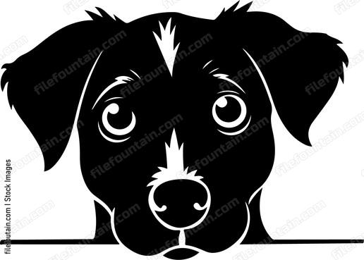 Peeking Dog