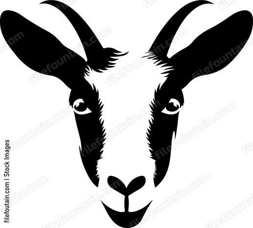 Peeking Goat