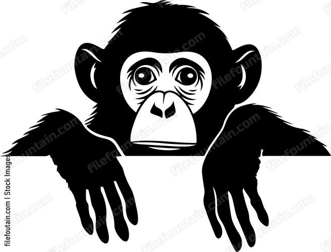 Peeking Monkey