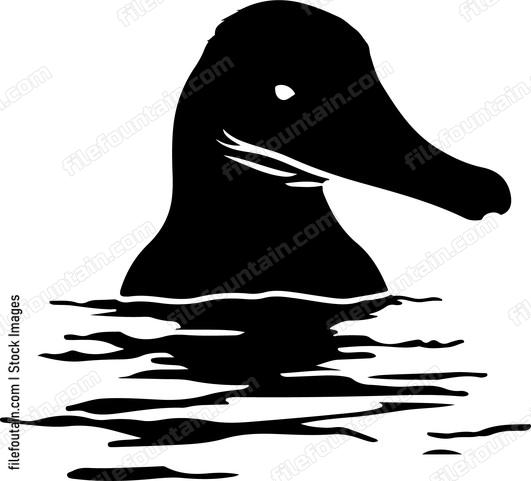 Peeking Platypus
