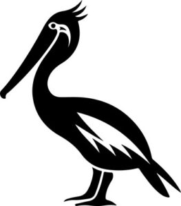 Pelican