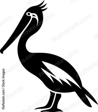 Pelican