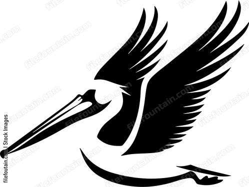Pelican Flying