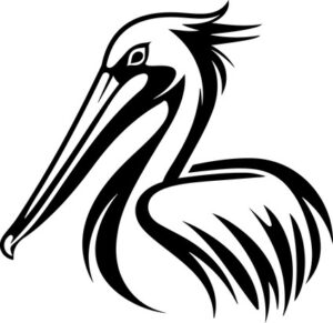 Pelican Head