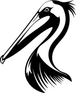 Pelican Head