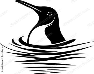 Penguin Head In Water